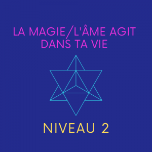 Programme La Magie dans ta vie / L'âme agit dans ta vie Niveau 2
